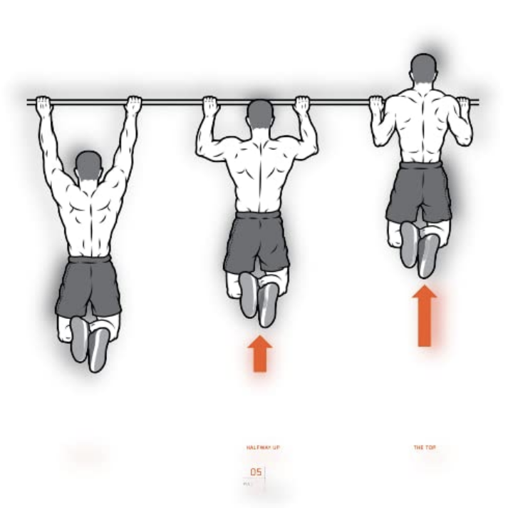 BullWorkers - Bullheight Rod